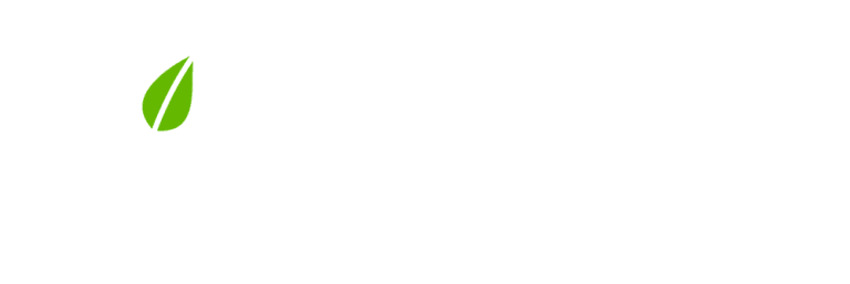 Pruning Grape Vines