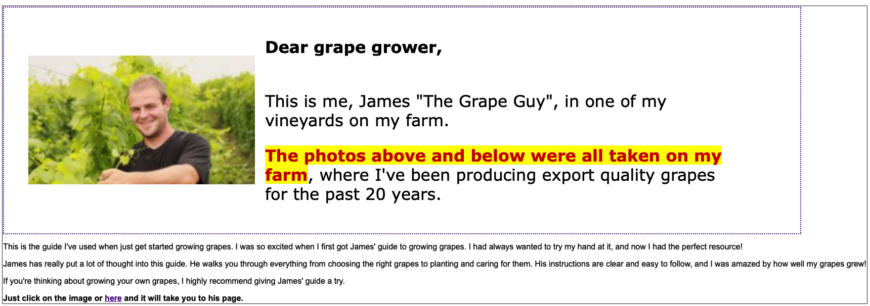 grapes growing by james